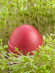 Image showing Easter Eggs