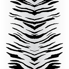 Image showing Zebra Stripes