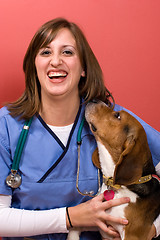 Image showing Veterinarian With a Beagle