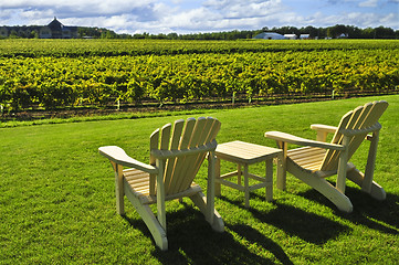 Image showing Chairs overlooking vineyard