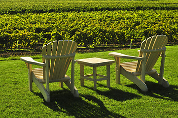 Image showing Chairs overlooking vineyard