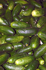 Image showing Cucumbers