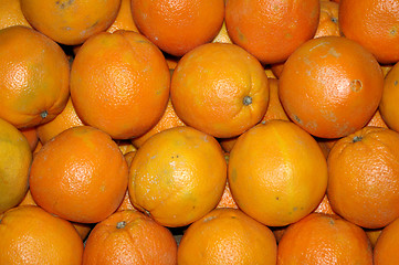 Image showing Oranges