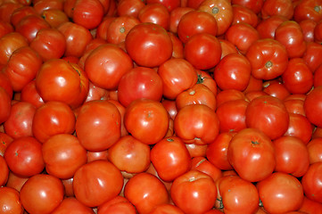 Image showing Tomatoes