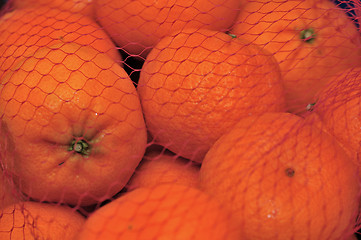 Image showing Oranges