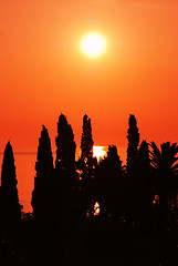 Image showing Orange sunset