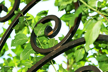 Image showing Forge iron in green leaves