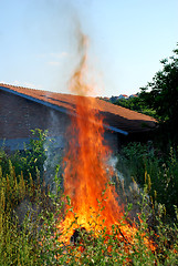 Image showing Fire in green grass