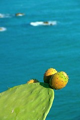 Image showing Tropea Italy