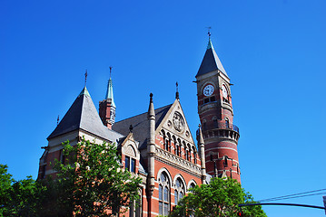 Image showing Bushes on building roof