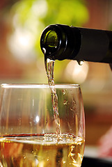 Image showing Glass of white wine