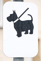 Image showing Black dog on white sign with copyspace