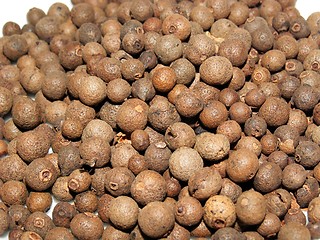 Image showing allspice