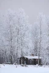 Image showing House in winter