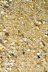 Image showing Sand - Texture