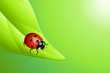 Image showing Ladybug on a leaf