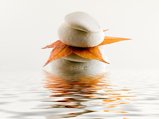 Image showing Beach stones with leaf and water reflection