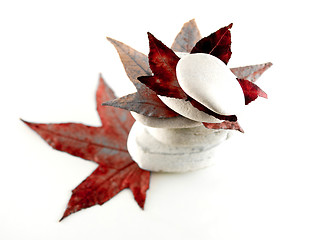 Image showing Beach stones with red leaves