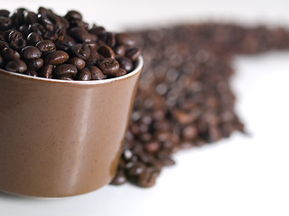 Image showing Spilled coffee beans