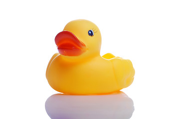 Image showing rubber duck