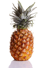 Image showing pineapple 