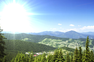 Image showing Forest landscape