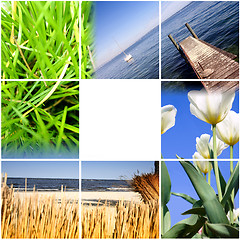 Image showing Colorful nature collage.
