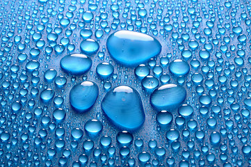 Image showing Water drops