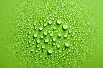 Image showing Water drops