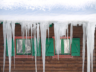 Image showing Green wooden windows with  ice stalactites