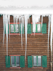 Image showing Green wooden windows with  ice stalactites