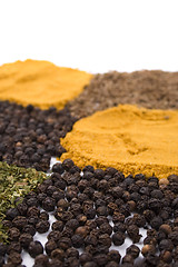 Image showing various spices