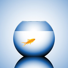 Image showing goldfish in a bowl