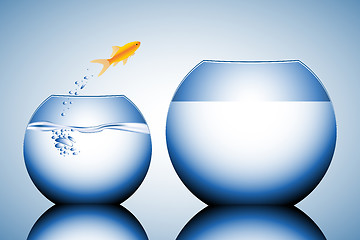 Image showing goldfish jumping out of the water