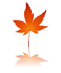 Image showing Fall leaf illustration