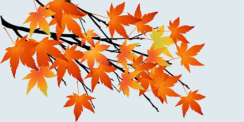 Image showing Abstract tree with autumn leaves 