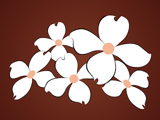 Image showing White flowers background 