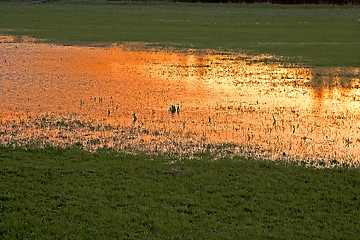 Image showing floodwater