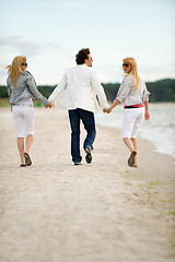 Image showing Friends walking on the beach