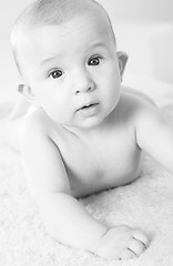 Image showing Adorable newborn portrait