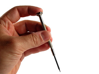 Image showing Precision screwdriver