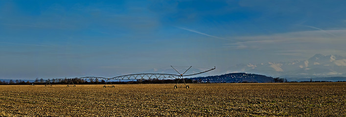 Image showing Paronamic view of a corn field in winter with irrigation system