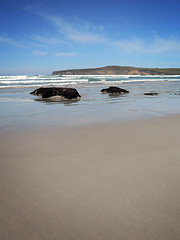 Image showing Untouched Sands