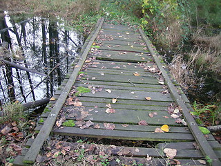 Image showing Rickety Bridge