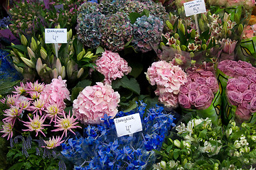 Image showing Amsterdam flower market