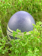 Image showing Easter Eggs