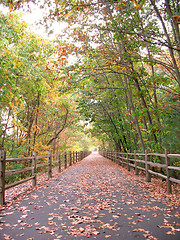 Image showing Walking Path