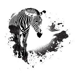 Image showing Grungy Zebra