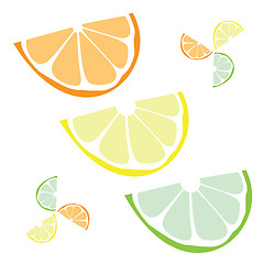 Image showing Citrus Slices 