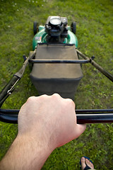 Image showing Push Lawn Mower